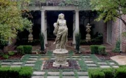 Dwarf Mondo Grass - 32 Pack Of 2.5" Pots 17 Dwarf Mondo Grass - 32 Pack Of 2.5" Pots -Cheap PLANTS Store Picture Mondo Grass Dwarf Pavers 1