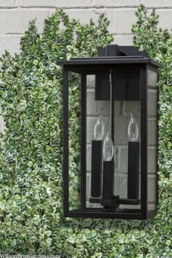 Variegated Creeping Fig - Ficus Pumila 'Variegata' - 6 Pack Of Pint Pots -Cheap PLANTS Store ficus pumila variegata creeping fig 102