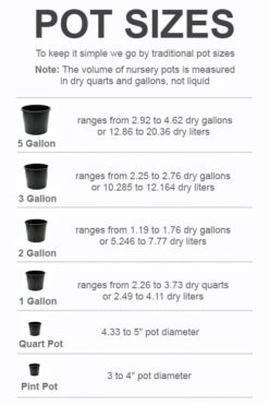 Miss Bateman Clematis - 1 Gallon Pot -Cheap PLANTS Store pot size chart 2022 257